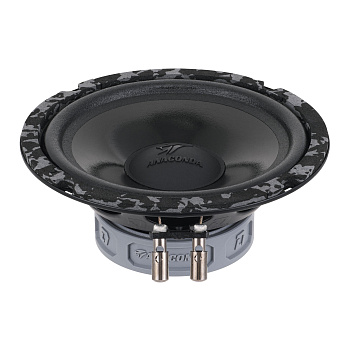 DL Audio Anaconda 165 Comp
