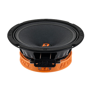 DL Audio Raven 165 V.2