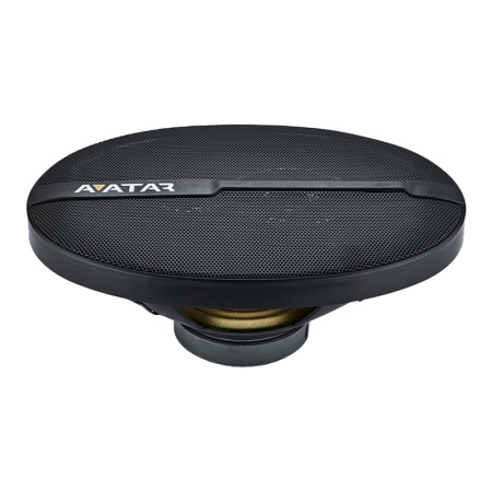Avatar XBR-6913