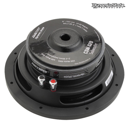 DYNAMIC STATE CUSTOM CSW-S20