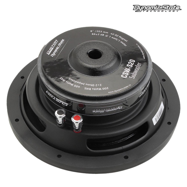 DYNAMIC STATE CUSTOM CSW-S20