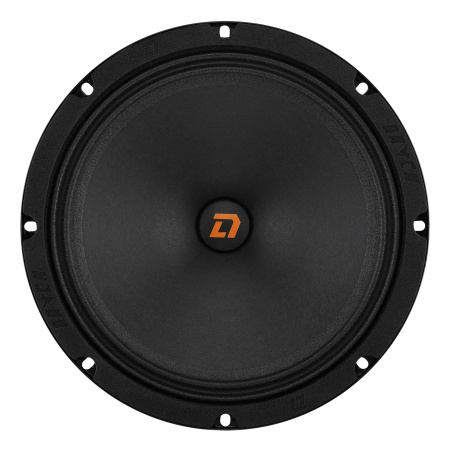 DL Audio Raven 200 v.2