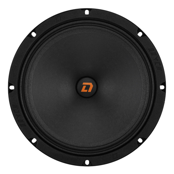 DL Audio Raven 200 v.2