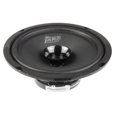 AMP PROMO FR65