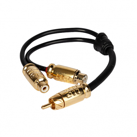 Headshot RCY-2F1M-0.25