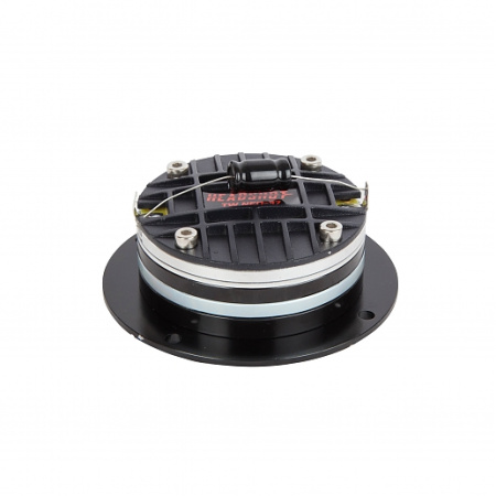 Kicx Headshot TW NEO-37