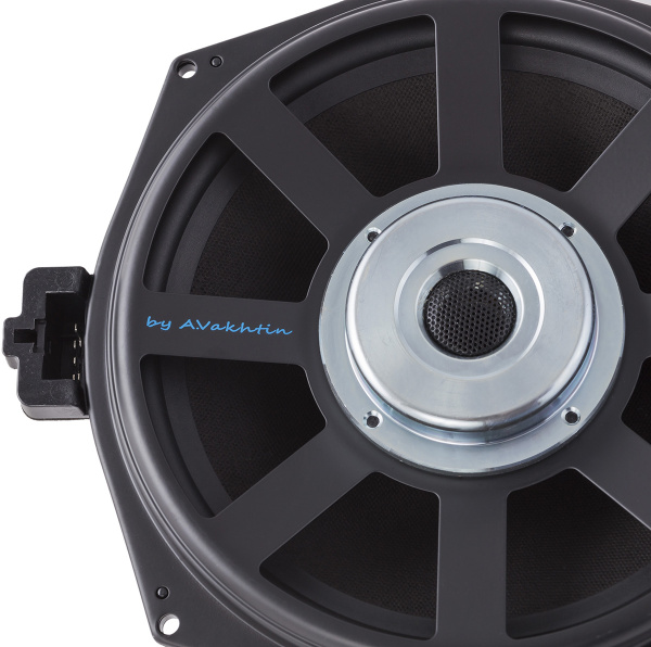 AMP A.Vakhtin SW-200BMW